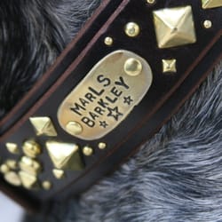 Paco Collars - Like Charles not Gnarls but she's all Marls.