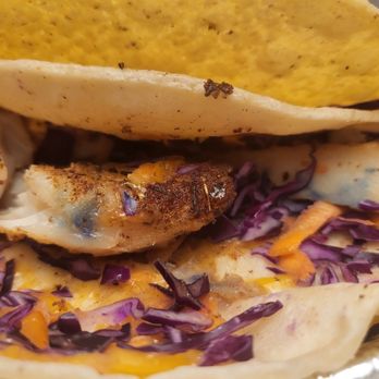 Tinga E Tikka - Blackened catfish taco - Mexican Near Me - Westfield, New Jersey Tinga E Tikka - Blackened catfish taco - Mexican Near Me - Westfield, New Jersey