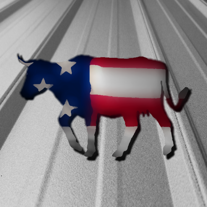 Slide of Discount Direct Metal Roofing