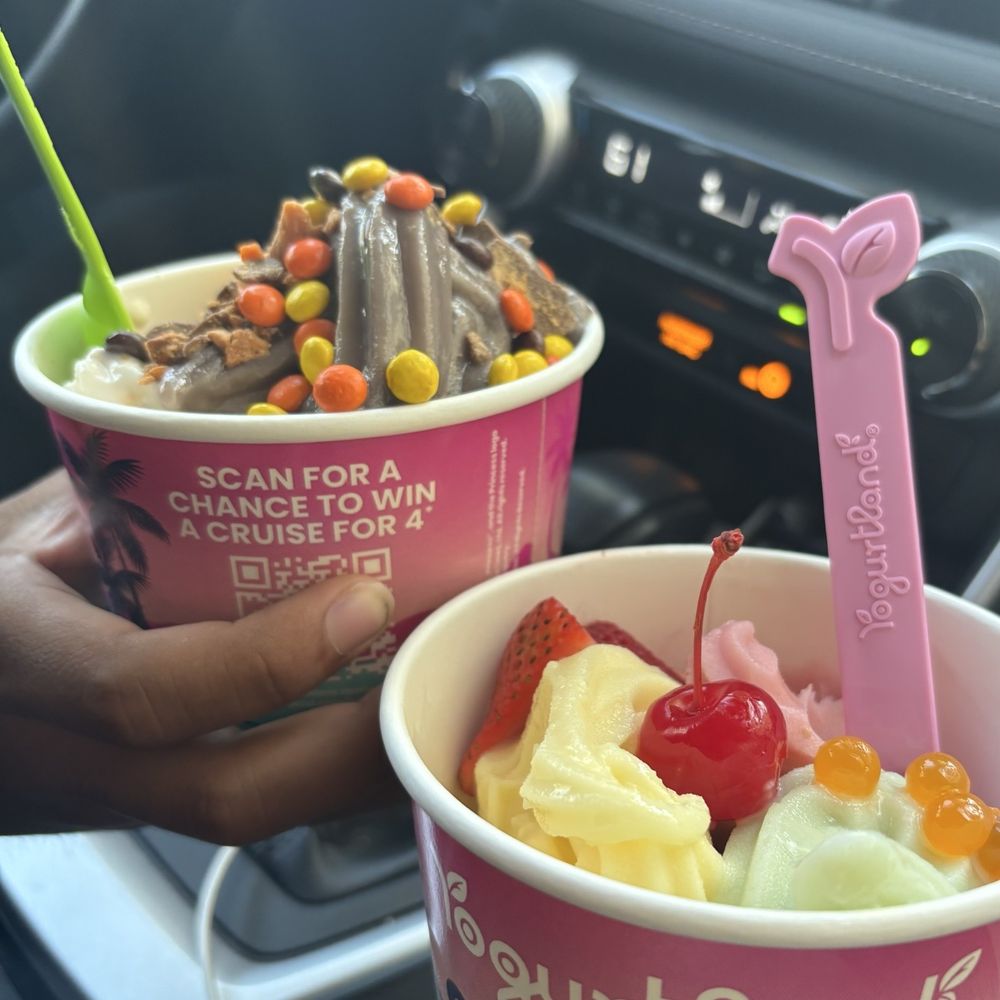 Cheesecake Pistachio and strawberry  Dutch Chocolate and vanilla