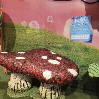 Candytopia - Candy Stores Near Me - Scottsdale, Arizona Candytopia - Candy Stores Near Me - Scottsdale, Arizona