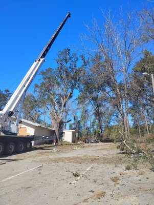 Bishop Tree Service on Yelp