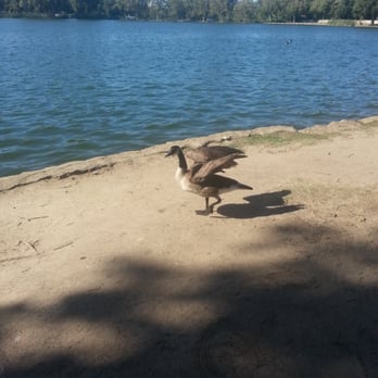 Lodi Lake Tours - Friends - Boat Tours Near Me - Lodi, California