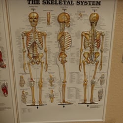 Family Chiropractic and Sports Therapy