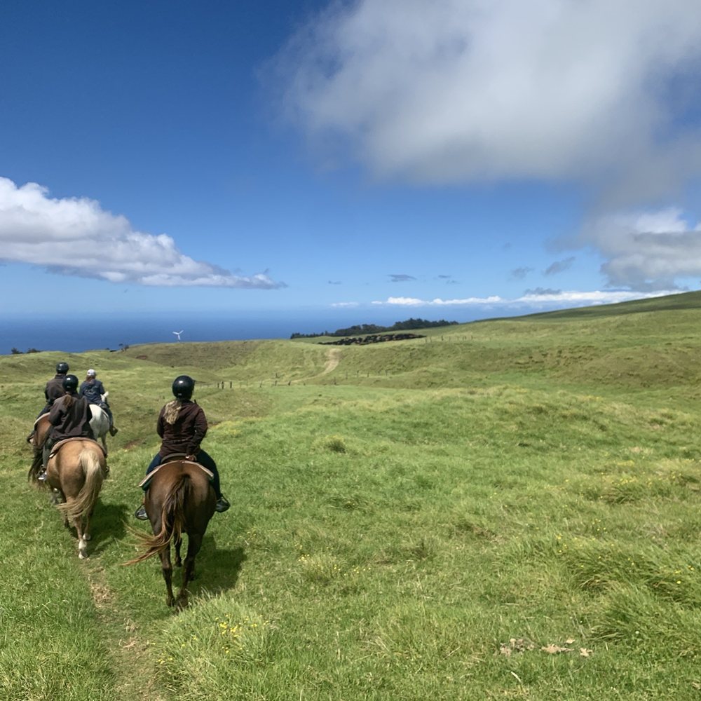 Na'alapa Stables - Gorgeous scenery! Ocean views, green hills. - Horseback Riding Near Me - Kamuela, Hawaii Na'alapa Stables - Gorgeous scenery! Ocean views, green hills. - Horseback Riding Near Me - Kamuela, Hawaii