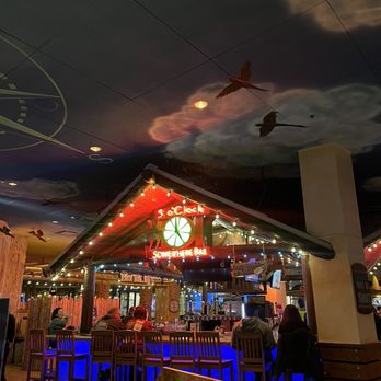 Jimmy Buffett's Margaritaville - Bar - Bars Near Me - Universal City, California