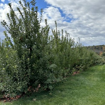 Melick Orchards - Farmers Market Near Me - Califon, New Jersey