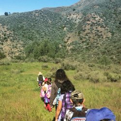 NatureTrack Foundation