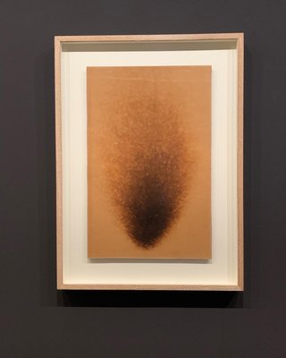 Hôtel de Caumont by null