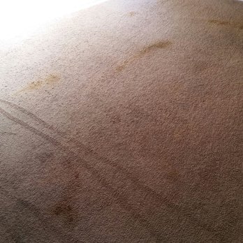 Fresh Start Carpet Cleaning - Bad dog! Before 3/17/17 - Carpet Cleaning Near Me - Henderson, Nevada Fresh Start Carpet Cleaning - Bad dog! Before 3/17/17 - Carpet Cleaning Near Me - Henderson, Nevada
