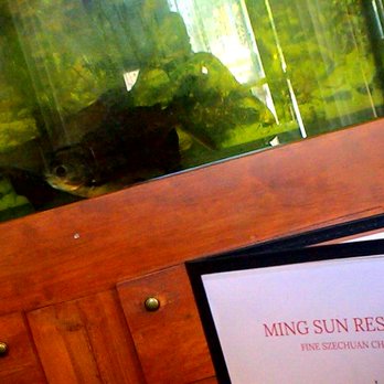Ming Sun Restaurant - Ugly Fish  fighting while we eat Enjoyed the show Funny - Chinese Near Me - Melvindale, Michigan
