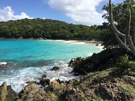 Caneel Bay Resort by null
