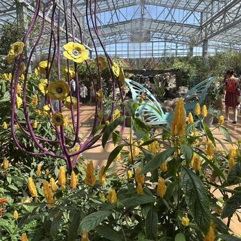 Butterfly Wonderland - Botanical Gardens Near Me - Scottsdale, Arizona
