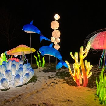 Amazing Light Festival - Amazing Light Festival - Festivals Near Me Amazing Light Festival - Amazing Light Festival - Festivals Near Me