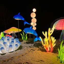 Amazing Light Festival - Amazing Light Festival