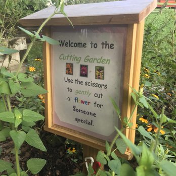 Black Hill Regional Park - A cutting garden for you to bring a flower to a loved one... - Parks Near Me - Boyds, Maryland
