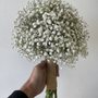 Westchester Flowers