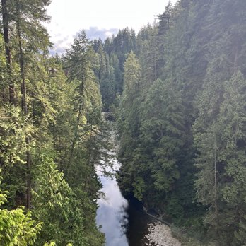 Capilano Suspension Bridge Park - Parks Near Me - North Vancouver, British Columbia
