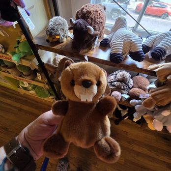 Imagination Emporium - Toy Stores Near Me - Thomasville, Georgia