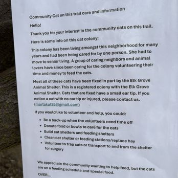 Paul J Betschart Park - Info about the feral cat colony - Parks Near Me - Elk Grove, California Paul J Betschart Park - Info about the feral cat colony - Parks Near Me - Elk Grove, California