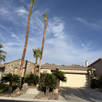 Natures Personal Landscaping - Palm Tree Skinning ! By the square ft ! - Tree Services Near Me - Las Vegas, Nevada Natures Personal Landscaping - Palm Tree Skinning ! By the square ft ! - Tree Services Near Me - Las Vegas, Nevada