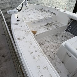 Coastal River Charters - Bird poop everywhere