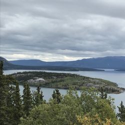Bove Island