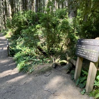 Fern Canyon Trailhead - Parks Near Me