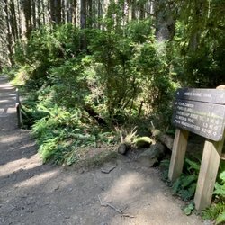 Fern Canyon Trailhead