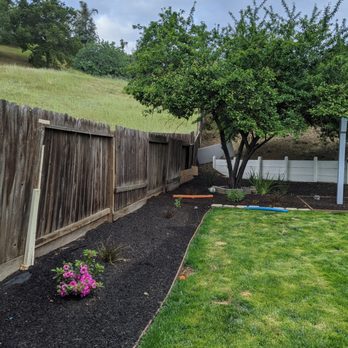 Lili’s Garden - Before - fence. - Gardeners Near Me