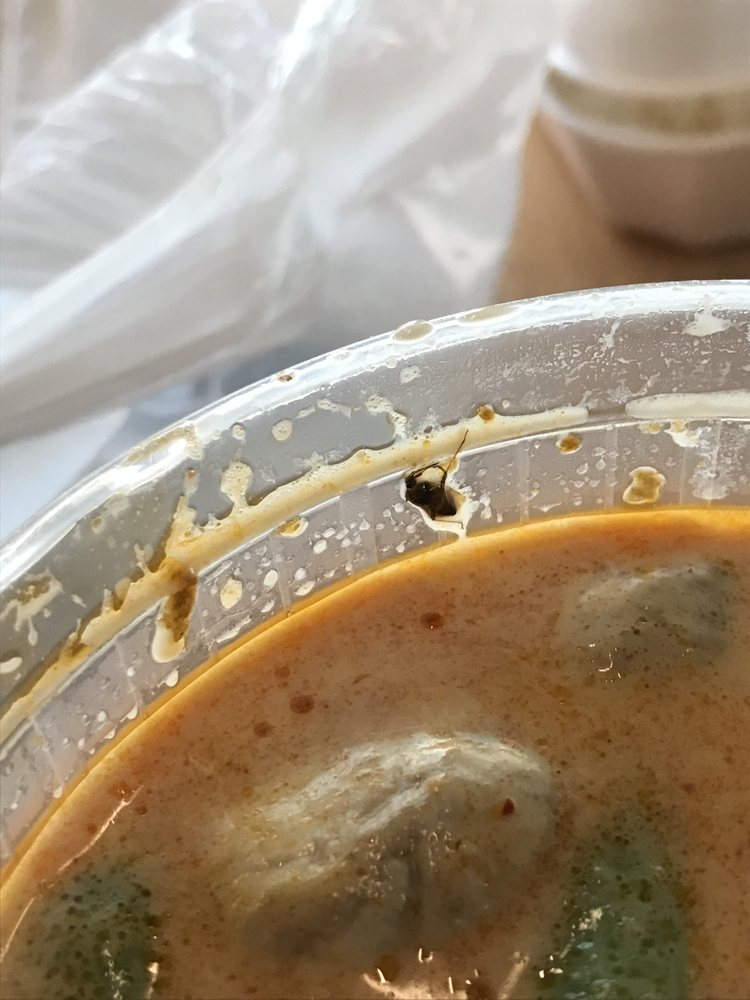 THAI BAMBOO BISTRO 314 Photos & 408 Reviews Thai 6715 Quail Hill