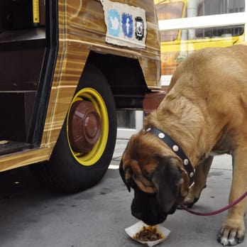 Coastal Summit Fish Tacos - a dog eating from a plate - Food Trucks Near Me - Arvada, Colorado Coastal Summit Fish Tacos - a dog eating from a plate - Food Trucks Near Me - Arvada, Colorado