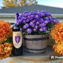 Carso Rosso Winery - Red wine season. Our favorite: Buon Vino Rosso