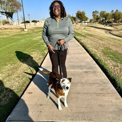 Mesa Express Library at Monterey Park - Brenda reviewed and Kara "approved" Monterey Park!