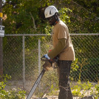 Utah Tree - Tree Services Near Me - Sandy, Utah Utah Tree - Tree Services Near Me - Sandy, Utah