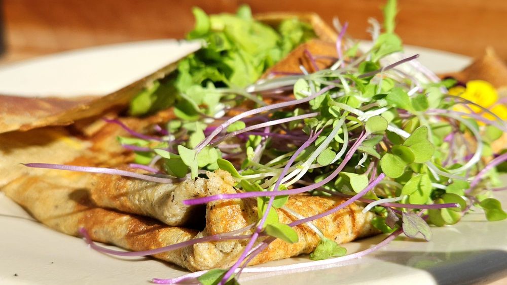 Social spots from Bradbury's