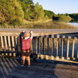 On Fishing Pier at Huron Meadows Metropark