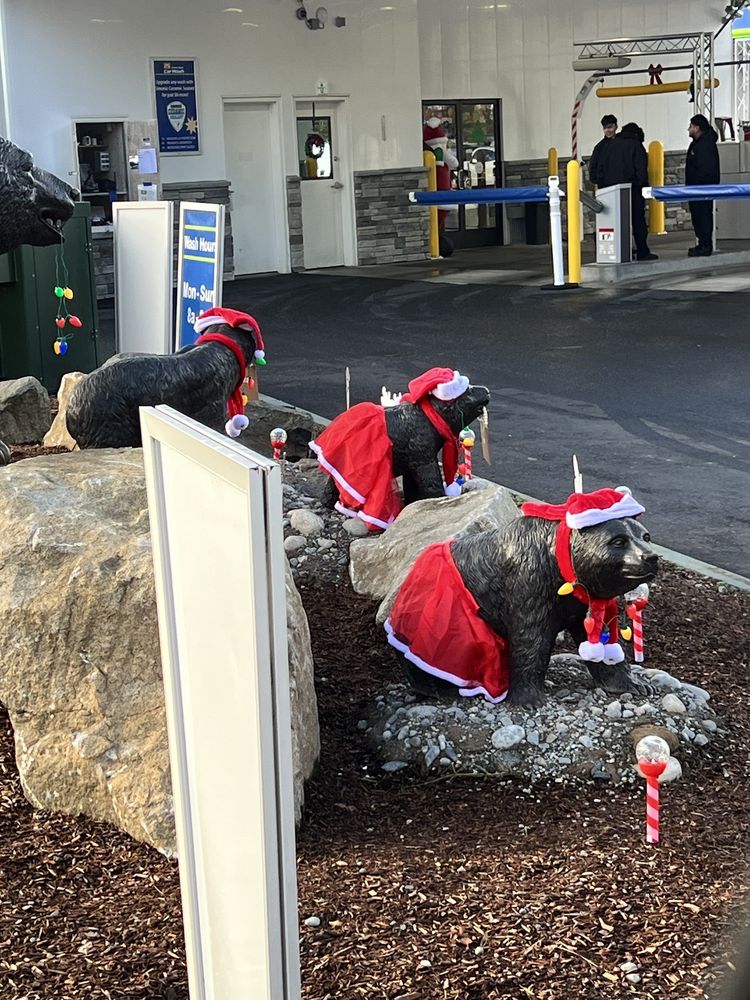 BROWN BEAR CAR WASH Updated June 2024 57 Photos & 75 Reviews