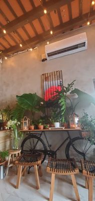 Café Botánico by null