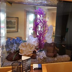 Federal Way Family Dental Care - Sea salt fish tank!