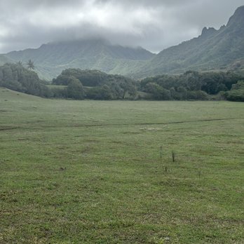 Kualoa Ranch - Tours Near Me - Kaneohe, Hawaii Kualoa Ranch - Tours Near Me - Kaneohe, Hawaii