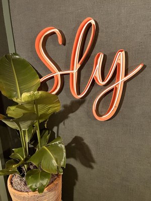 Sly Rooftop Bar by null