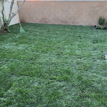 Landscape Pro Services - Newly laid grass - Landscaping Near Me