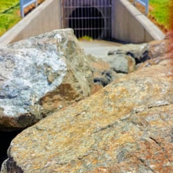 Raleigh Linear Green Park - Outfall