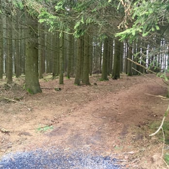 Mardasson Memorial - Forest - close driving distance to Mardasson Memorial in Bastogne, Belgium - Landmarks & Historical Buildings Near Me - Bastogne, WLX