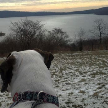 Rover Runs - The view is worth the climb up! - Dog Walkers Near Me