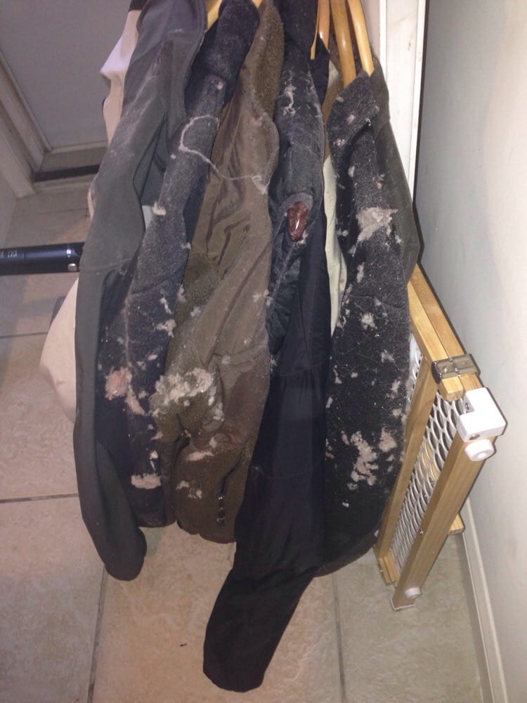 BREATHE EASY AIR DUCT CLEANING Updated September 2024 19 Reviews