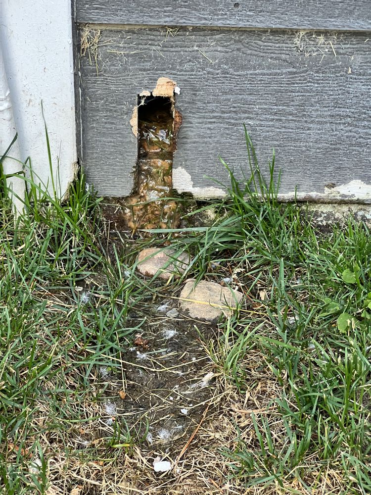 CAMBRIAN APARTMENTS Updated April 2024 22 Photos & 18 Reviews