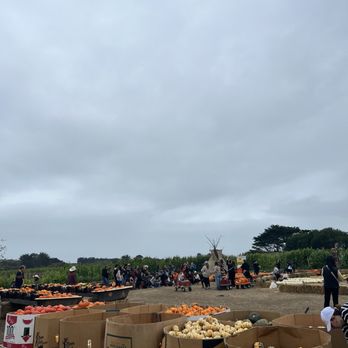 Farmer John's Pumpkin Farm - Weiner dog meetup - Pumpkin Patches Near Me - Half Moon Bay, California Farmer John's Pumpkin Farm - Weiner dog meetup - Pumpkin Patches Near Me - Half Moon Bay, California