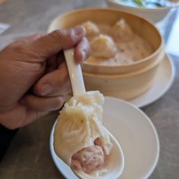 shrimp and pork dumpling shrimp and pork dumpling